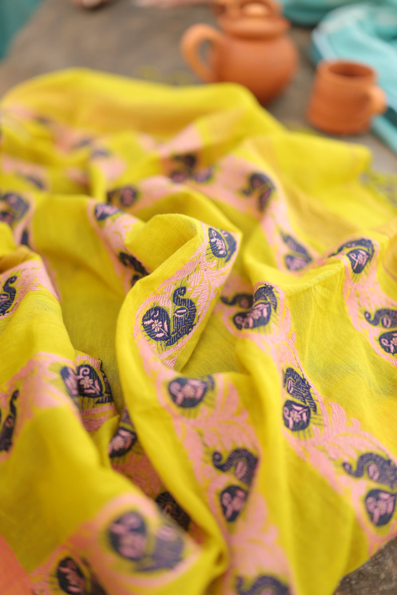 Pure Cotton (Handloom)